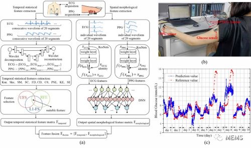 深圳先進(jìn)院在基于生理信息的無創(chuàng)血糖監(jiān)測技術(shù)方面取得新進(jìn)展